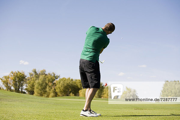 Mann  Rückansicht  Ansicht  Ball Spielzeug  Golfsport  Golf  Kurs  schlagen