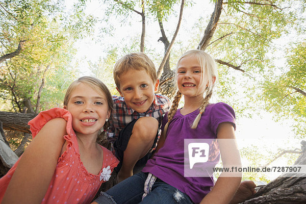 Three children (4-5  6-7) smiling for portrait in huge tree