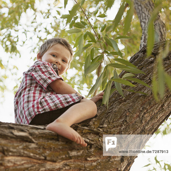 sitzend  Junge - Person  Baum  klein  2-3 Jahre  2 bis 3 Jahre