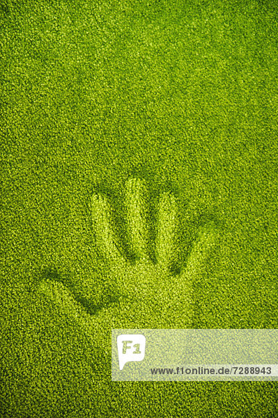 Handprint on green rug