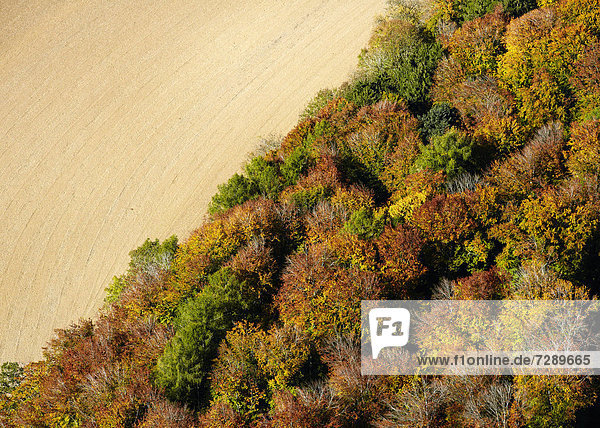 Herbstlicher Mischwald an einem abgemähtem Feld  Luftbild