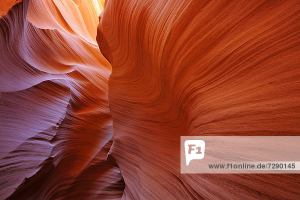 Roter Sandstein der Moenkopi-Formation  Gesteinsformen  Farben und Strukturen im Lower Antelope Slot Canyon  Corkscrew Canyon  Page  Navajo Nation Reservation  Arizona  Vereinigte Staaten von Amerika  USA
