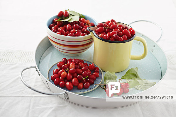 Cornel cherries in containers on tray