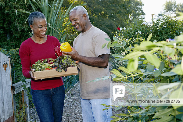 geselliges Beisammensein Gemüse schwarz Gemeinschaftsgarten
