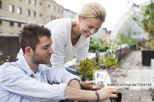 Glückliches junges Paar beim Rübenernte im Stadtgarten