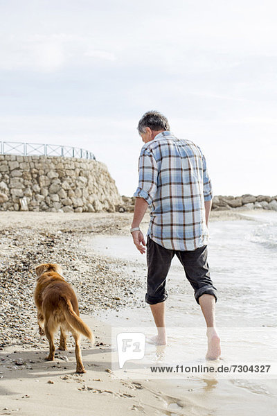 Rückansicht eines älteren Mannes  der mit Hund am Strand spazieren geht.