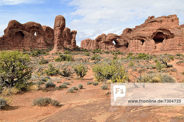 Parade of Elephants mit Double Arch Formation  roter Sandstein  Arches National Park  Moab  Utah  USA