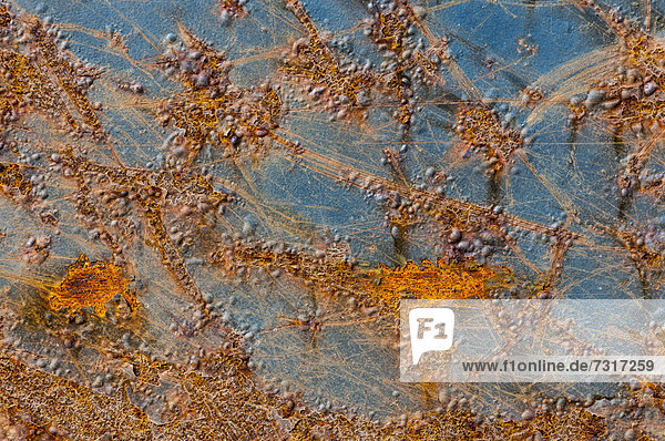 Metal surface with rust and remains of blue paint