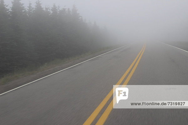Straße im Nebel  Cabot Trail  Cape Breton  Nova Scotia  Neuschottland  Kanada