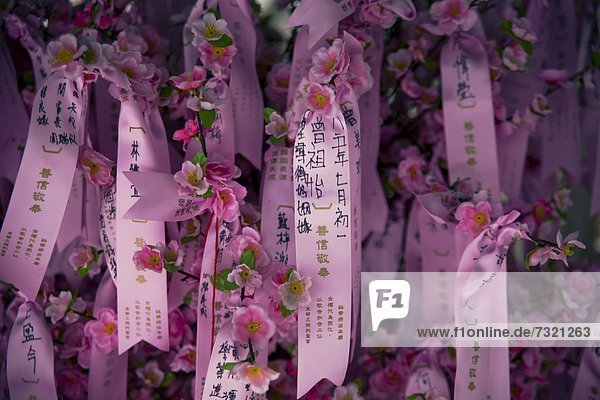 Blumenschmuck im Man Mo Tempel  Hong Kong  China