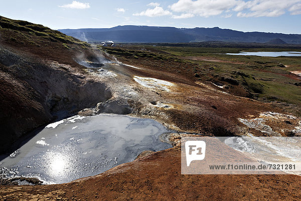 Geothermaler Schlammteich  Hellisheidi  Island  Europa