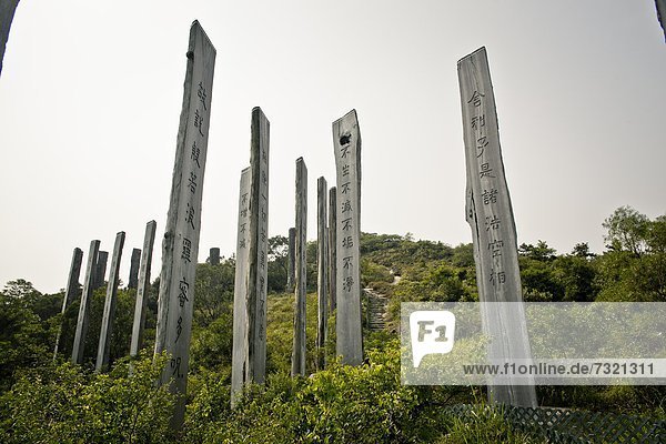 Stelen nahe des Tian Tan Buddha  Lantau Island  Hong Kong  China