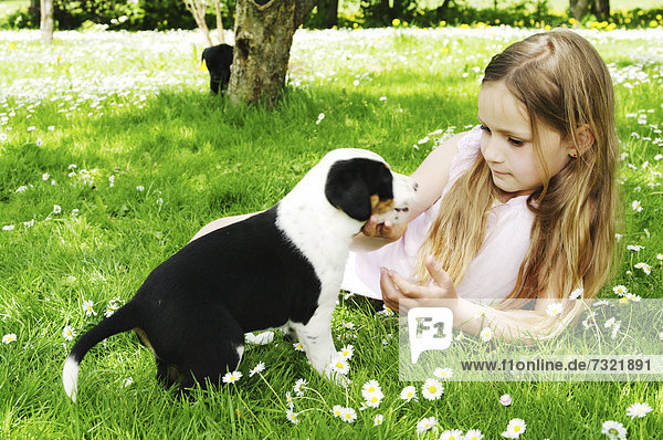 Mädchen spielt draußen mit jungem Hund