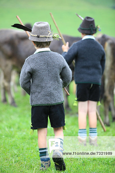 Jungen in traditioneller Tracht bei der Viehscheid  Thalkirchdorf  Oberstaufen  Bayern  Deutschland  Europa