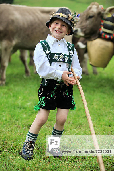 Boy wearing traditional costume during Viehscheid  separating the cattle after their return from the Alps  Thalkirchdorf  Oberstaufen  Bavaria  Germany  Europe