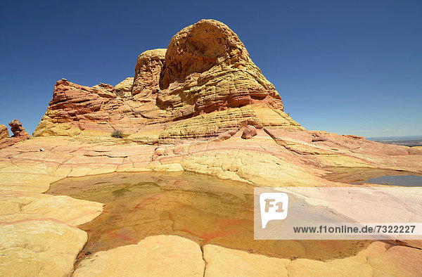 Brain Rocks der Coyote Buttes South CBS  Cottonwood Teepees  erodierte Navajo-Sandsteinfelsen mit Liesegang Bands  auch Liesegangen Rings oder Liesegang Rings  Pareah Paria Plateau  Vermilion Cliffs National Monument  Arizona  Utah  Südwesten  Vereinigte Staaten von Amerika  USA