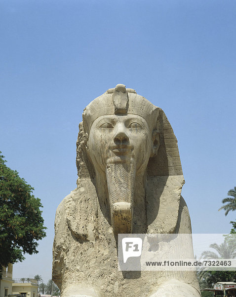 Ägypten  Sphinx