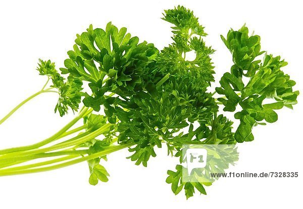 Parsley leaves used as a culinary herb or flavouring flavoring