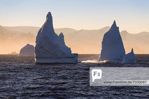 Eisberge vor der Antarktischen Halbinsel bei Sonnenaufgang  Antarktis