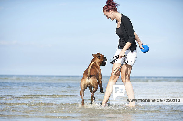 Woman playing with a boxer in the water  Baltic Sea  Mecklenburg-Western Pomerania  Germany  Europe