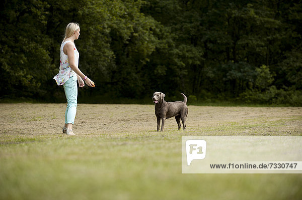 Woman playing with a Labrador Retriever on a meadow