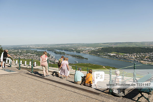 View from the Niederwald Monument to the vineyards and the Rhine  Ruesdesheim am Rhein  Rhineland-Palatinate  Germany  Europe