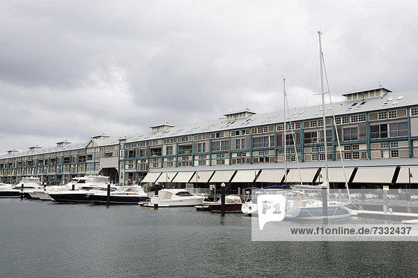 Boote im Jachthafen am Finger Wharf  Woolloomooloo Bay  Sydney Harbour  Sydney  New South Wales  NSW  Australien