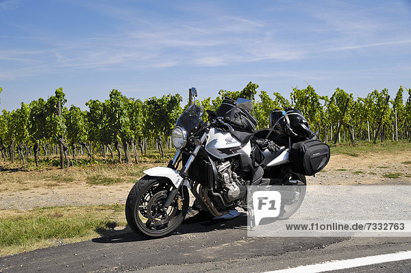 Zur Reise mit Gepäck beladenes Motorrad Honda CBF 600 vor Weinzeilen  Deutschland  Europa