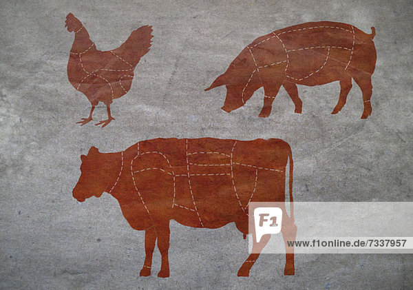 Ein Metzgerdiagramm einer Kuh  eines Huhns und eines Schweins