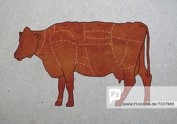 Ein Metzgerdiagramm einer Kuh