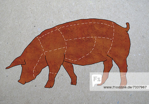 Ein Metzgerdiagramm eines Schweins