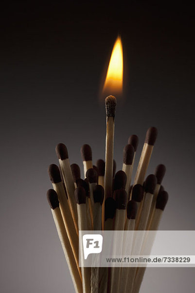 One lit match in bundle of matches