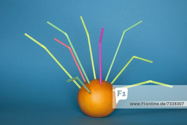 An orange with a bunch of drinking straws stuck into it