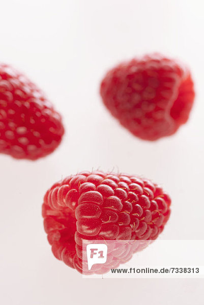 Three raspberries arranged on a white background