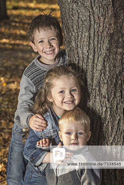 Drei fröhliche Geschwister posieren neben einem Baumstamm