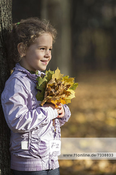 Ein junges  fröhliches Mädchen  das einen Haufen Herbstblätter mit Stolz hält.