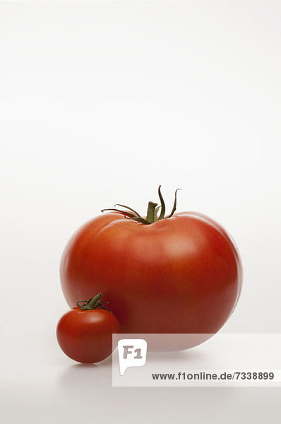 Eine wirklich kleine Tomate neben einer wirklich großen Tomate