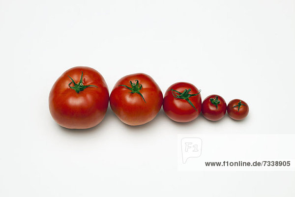 Eine Reihe von Tomaten aufgereiht von der größten bis zur kleinsten