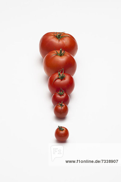 Eine Reihe von Tomaten  die sich von der kleinsten bis zur größten Tomatenreihe vergrößert.