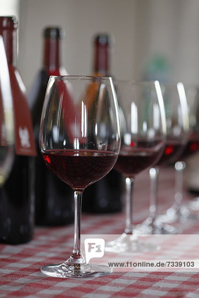 Diverse Rotweinflaschen mit Weingläsern vorne bei einer Weinprobe