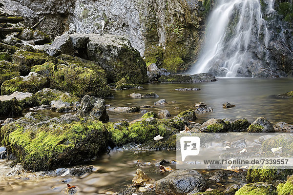 Wasserfall in der Wasserlochklamm bei Palfau  Liezen  Obersteiermark  Steiermark  Österreich  Europa