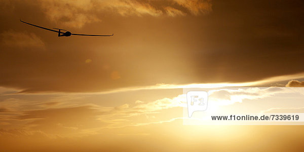 Segelflugzeug bei Sonnenuntergang