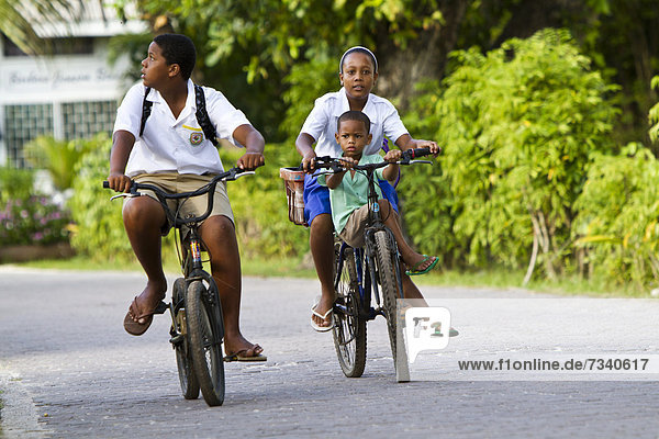 Kinder in Schuluniformen beim Radfahren  Insel La Digue  Seychellen  Afrika  Indischer Ozean