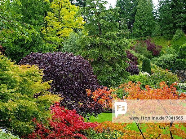 Garten  Insel  britisch  Kanada  Vancouver