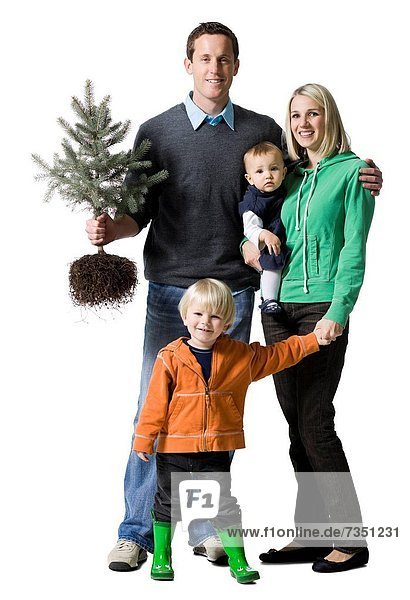 Baum Kiefer Pinus sylvestris Kiefern Föhren Pinie