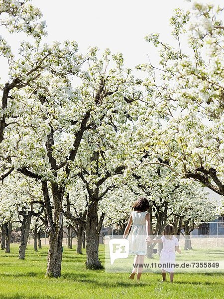 two girls in a blossoming orchard