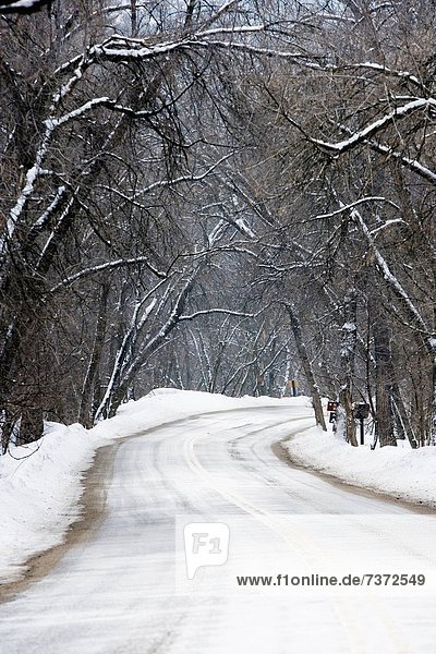 Straße im winter
