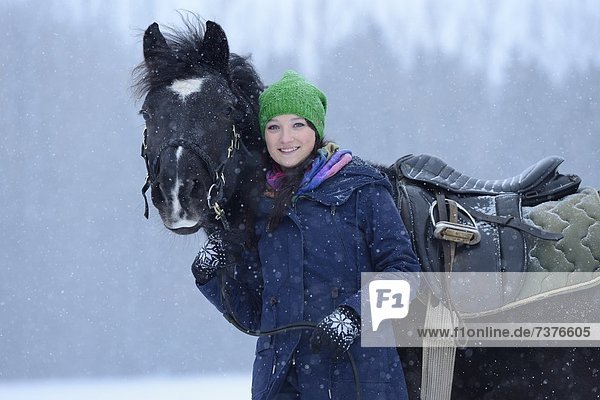 Young woman with arabo haflinger horse in snow  Upper Palatinate  Germany  Europe