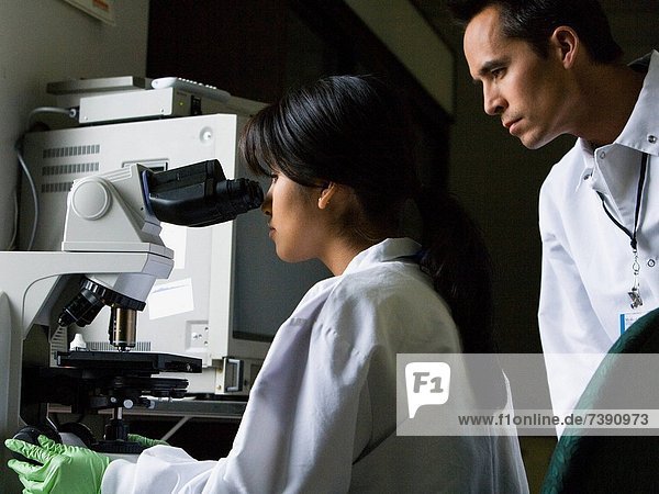 sehen Labor Technischer Beruf Mikroskop