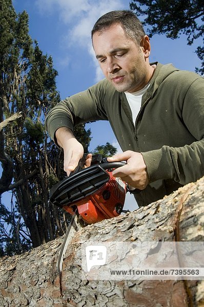 Mann zersägt einen Baumstamm